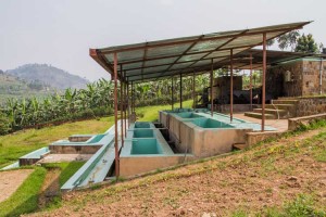 Coffee-Biology-Washing-Station-pic